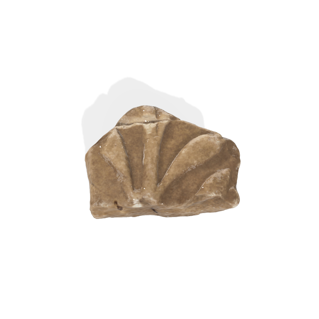 Cassetta 6 Fr. S7013985