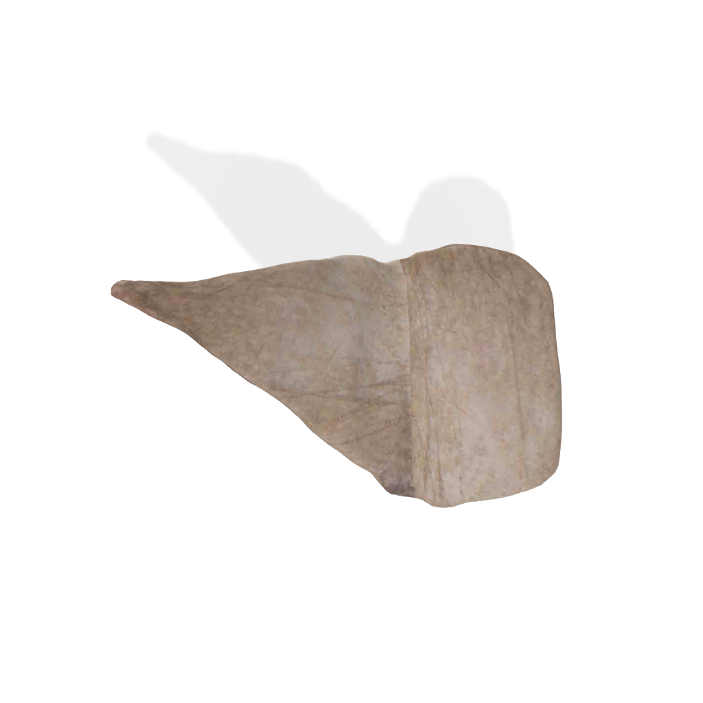 Foglia d’argento 40