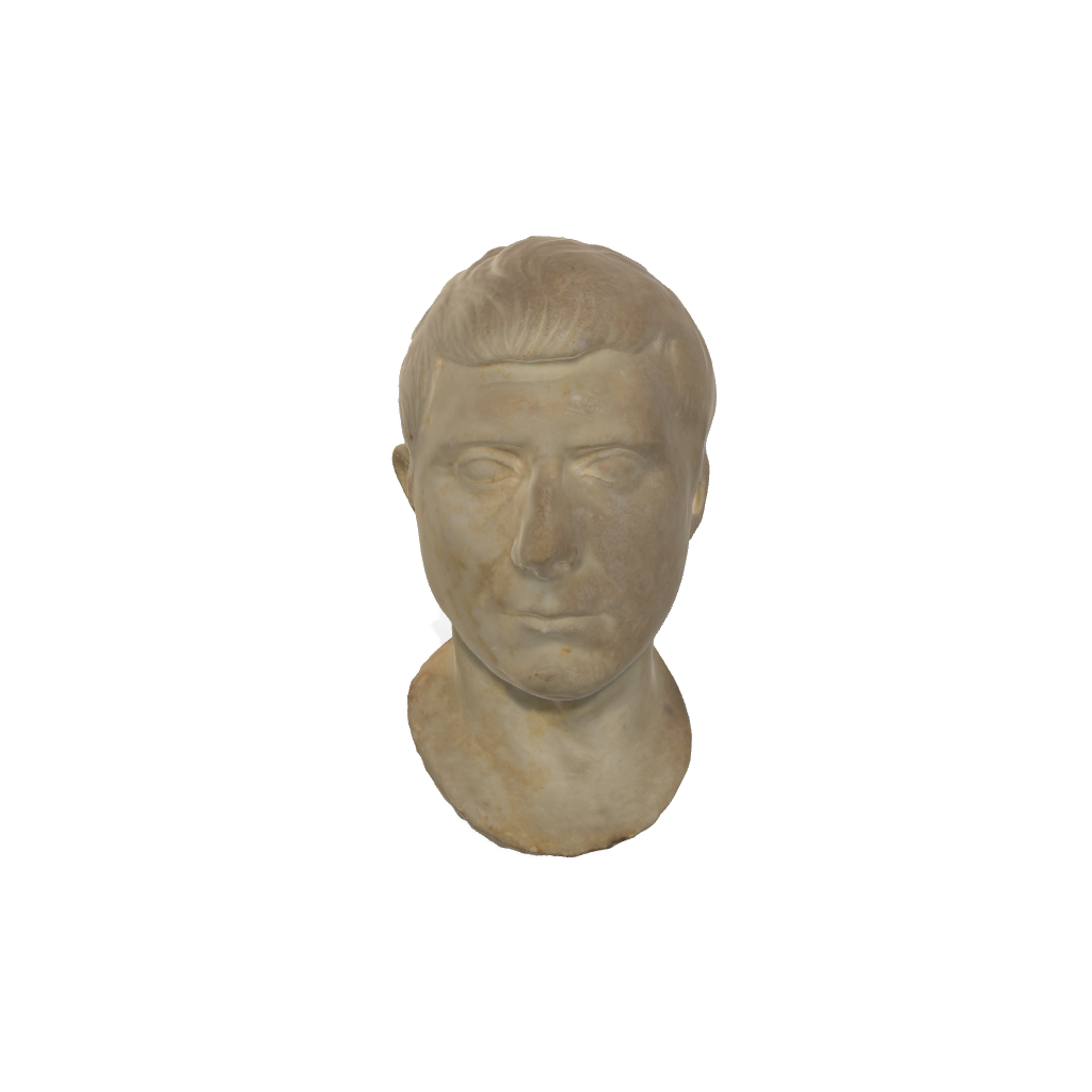 Testa di uomo di età matura